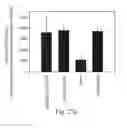 Fig. 19 - PROMOTERS EXHIBITING ENDOTHELIAL CELL SPECIFICITY AND METHODS OF USING SAME