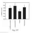 Fig. 20 - PROMOTERS EXHIBITING ENDOTHELIAL CELL SPECIFICITY AND METHODS OF USING SAME
