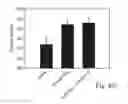 Fig. 35 - PROMOTERS EXHIBITING ENDOTHELIAL CELL SPECIFICITY AND METHODS OF USING SAME