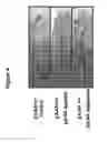Fig. 05 - Modulation of fibroblast activity