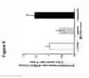 Fig. 06 - Modulation of fibroblast activity