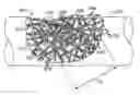 Fig. 01 - POLYMERIC BONE DEFECT FILLER
