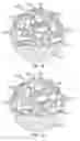 Fig. 07 - POLYMERIC BONE DEFECT FILLER