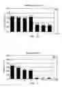 Fig. 09 - POLYMERIC BONE DEFECT FILLER