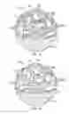 Fig. 07 - Polymeric bone defect filler