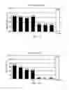 Fig. 08 - Polymeric bone defect filler