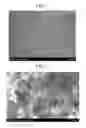 Fig. 02 - Aerogel, and composition and method for manufacturing the aerogel