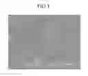 Fig. 03 - Aerogel, and composition and method for manufacturing the aerogel