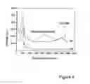Fig. 05 - High purity silica monoliths and process for the synthesis thereof