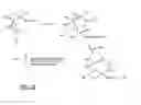 Fig. 08 - BIOSYNTHESIS OF POLYISOPRENOIDS