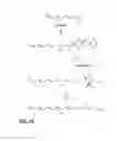 Fig. 09 - BIOSYNTHESIS OF POLYISOPRENOIDS