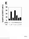Fig. 06 - NOVEL DEATH DOMAIN PROTEINS