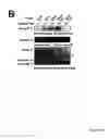 Fig. 09 - NOVEL DEATH DOMAIN PROTEINS