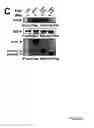 Fig. 13 - NOVEL DEATH DOMAIN PROTEINS
