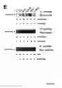 Fig. 15 - NOVEL DEATH DOMAIN PROTEINS