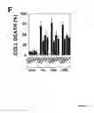 Fig. 16 - NOVEL DEATH DOMAIN PROTEINS