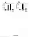 Fig. 31 - NOVEL DEATH DOMAIN PROTEINS