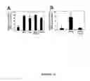 Fig. 32 - NOVEL DEATH DOMAIN PROTEINS
