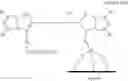 Fig. 29 - Functionalized cyanine having a silane linker arm, a method of preparing thereof and uses thereof