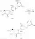 Fig. 20 - Methods of Producing C-Aryl Glucoside SGLT2 Inhibitors