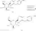Fig. 24 - Methods of Producing C-Aryl Glucoside SGLT2 Inhibitors