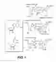 Fig. 02 - Therapeutic compositions