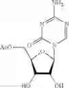 Fig. 22 - Azacitidine process and polymorphs