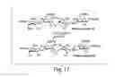 Fig. 19 - Saccharide structures and methods of making and using such structures