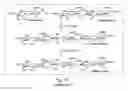 Fig. 20 - Saccharide structures and methods of making and using such structures