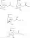Fig. 23 - Saccharide structures and methods of making and using such structures