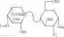 Fig. 30 - Saccharide structures and methods of making and using such structures