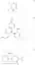 Fig. 22 - Compound and functional luminescent probe comprising the same