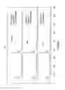 Fig. 07 - Process for Making Crystalline Metallosilicates