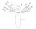 Fig. 01 - Minimally invasive implant and method