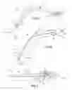 Fig. 03 - Laryngoscope guide and related method of use