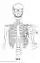 Fig. 06 - Expandable thoracic access port