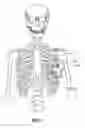 Fig. 05 - Expandable thoracic access port