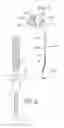 Fig. 05 - Retractor system for anterior cervical spine surgery