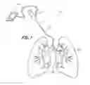 Fig. 02 - DIRECT LUNG SENSOR SYSTEMS, METHODS, AND APPARATUSES