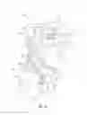 Fig. 16 - Dynamic stabilizing knee support system