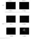 Fig. 12 - Medical device applications of nanostructured surfaces