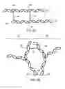 Fig. 03 - SYSTEMS AND METHODS RELATING TO POLYMER FOAMS