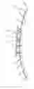 Fig. 01 - Tensionable Depilatory Article