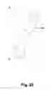 Fig. 22 - Spinal rod and screw securing apparatus and method