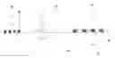Fig. 01 - Implantable lead with isolated contact coupling