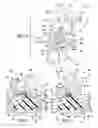Fig. 02 - Prosthetic device with damper