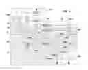 Fig. 04 - Verification of process integrity