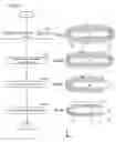Fig. 09 - Piezoelectric vibrating pieces comprising edge mesa steps, and methods for manufacturing same