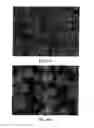 Fig. 35 - Methods and compositions using calcium carbonate