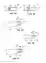 Fig. 03 - DELINEATING NAIL FOR NAIL TREATMENT APPLICATIONS AND METHOD THEREFOR